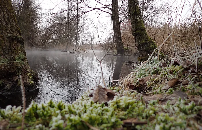 Gleßbrunnen bei Wolkertshofen